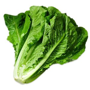 ExoGreens - Lettuce Romaine