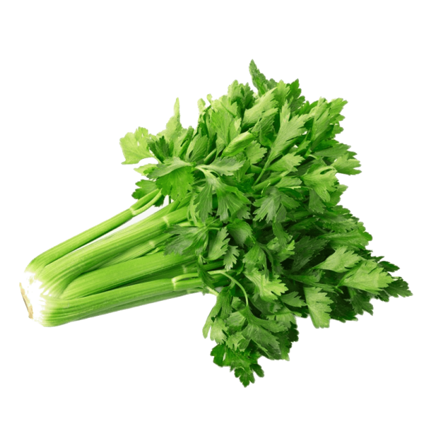 Celery ExoGreens